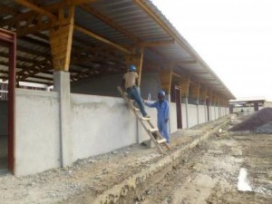 408173_294478730660724_1799461336_n-71175e01