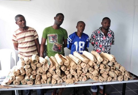 DROGUE oclad-440137ce