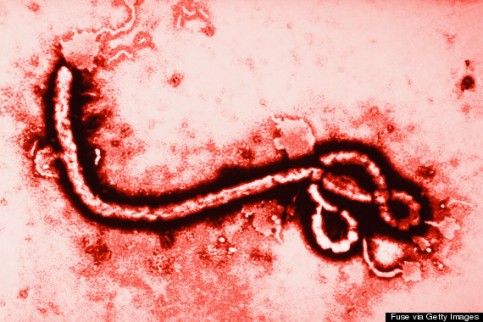 EBOLA-570