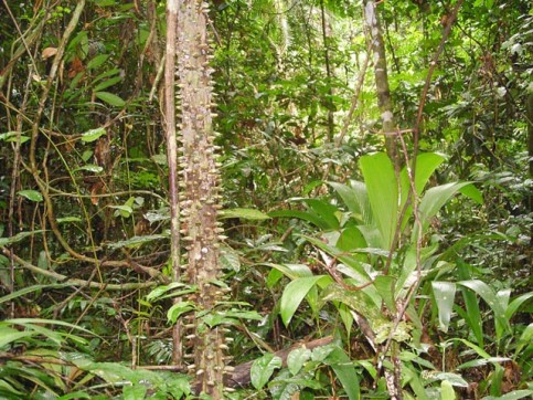 SAMSUNG DIGITAL CAMERA