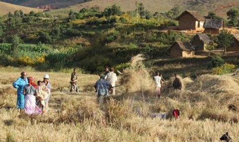 agroecologie_et_changement_climatique