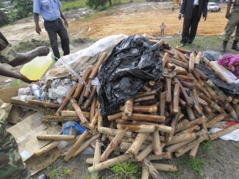 batons-de-chanvre-indien-640x479