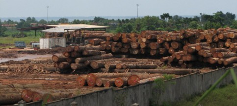 Exploitation du bois, Gabon