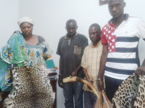 braconage-franceville