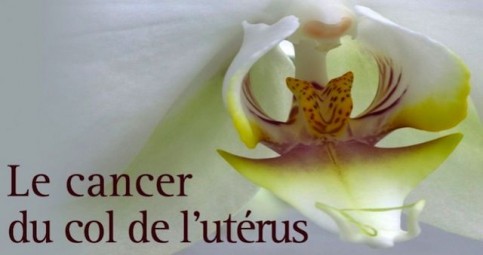 cancers_feminins-e543cce9