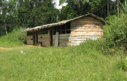 ecole_village-gabon