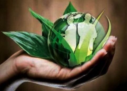 economie-verte-ceeac