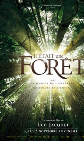 il-etait-une-foret-f3110394