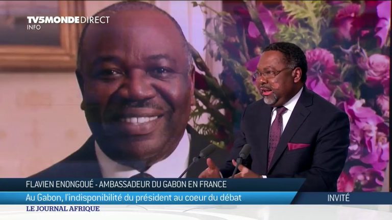 Gabon – État de santé d’Ali Bongo, l’ambassadeur du Gabon en France répond à TV5Monde