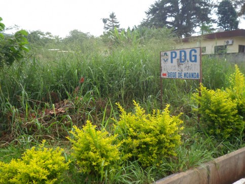 moanda-pdg-1