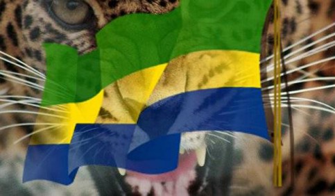 panthere-gabon