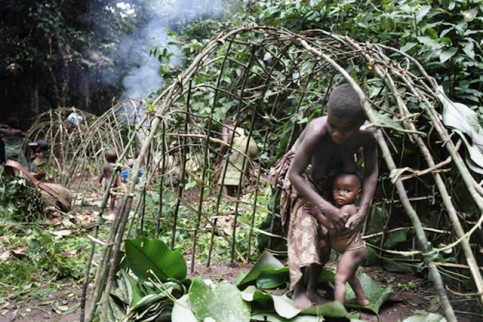 NGS Picture ID:1001224