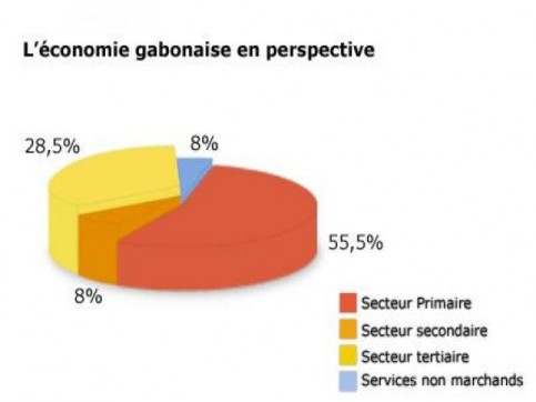 un-taux-de-croissance-de-68-pour-le-gabon-en-2014